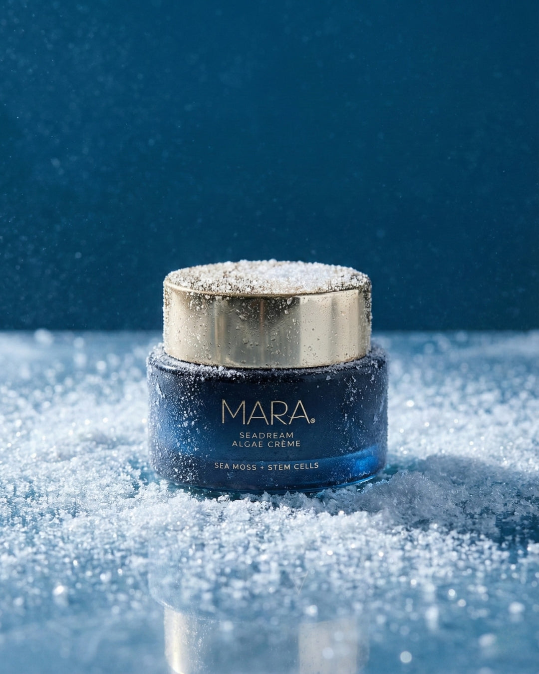 Snow falling all around SeaDream Algae Creme