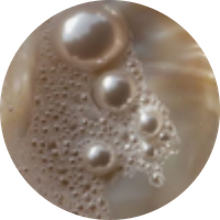 Pearl Powder