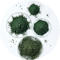 Spirulina