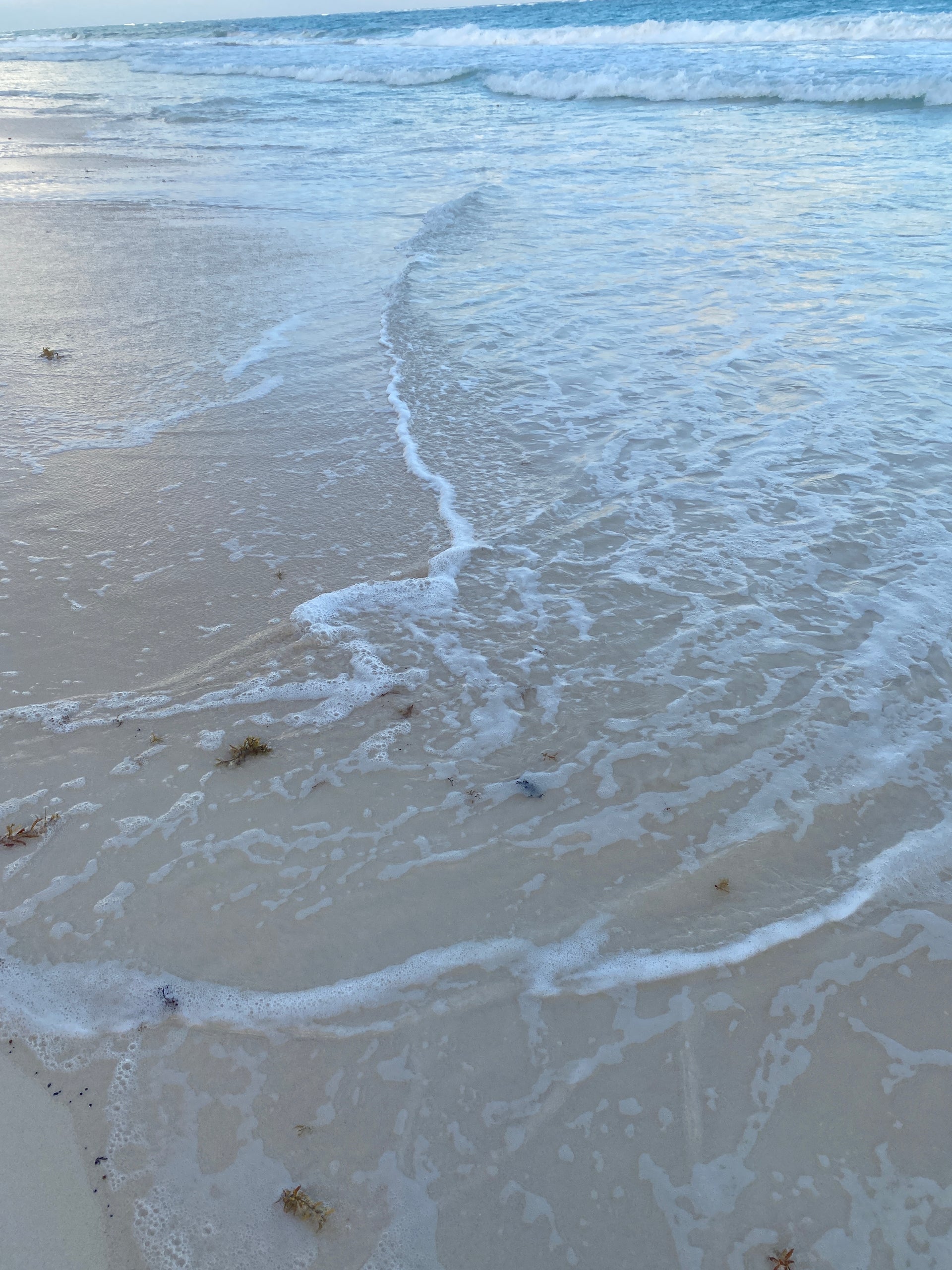ocean shoreline with sand