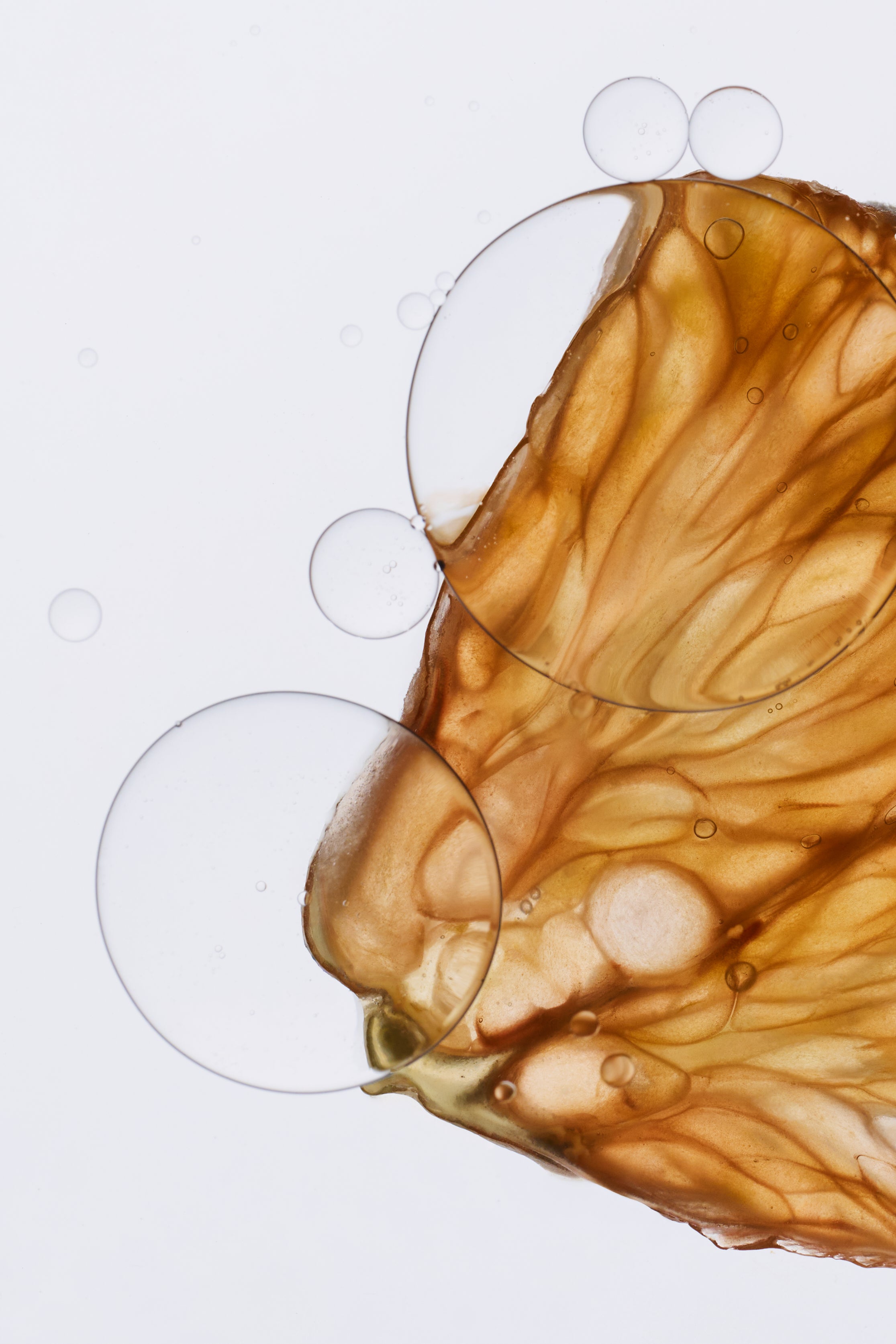 Algae and water 