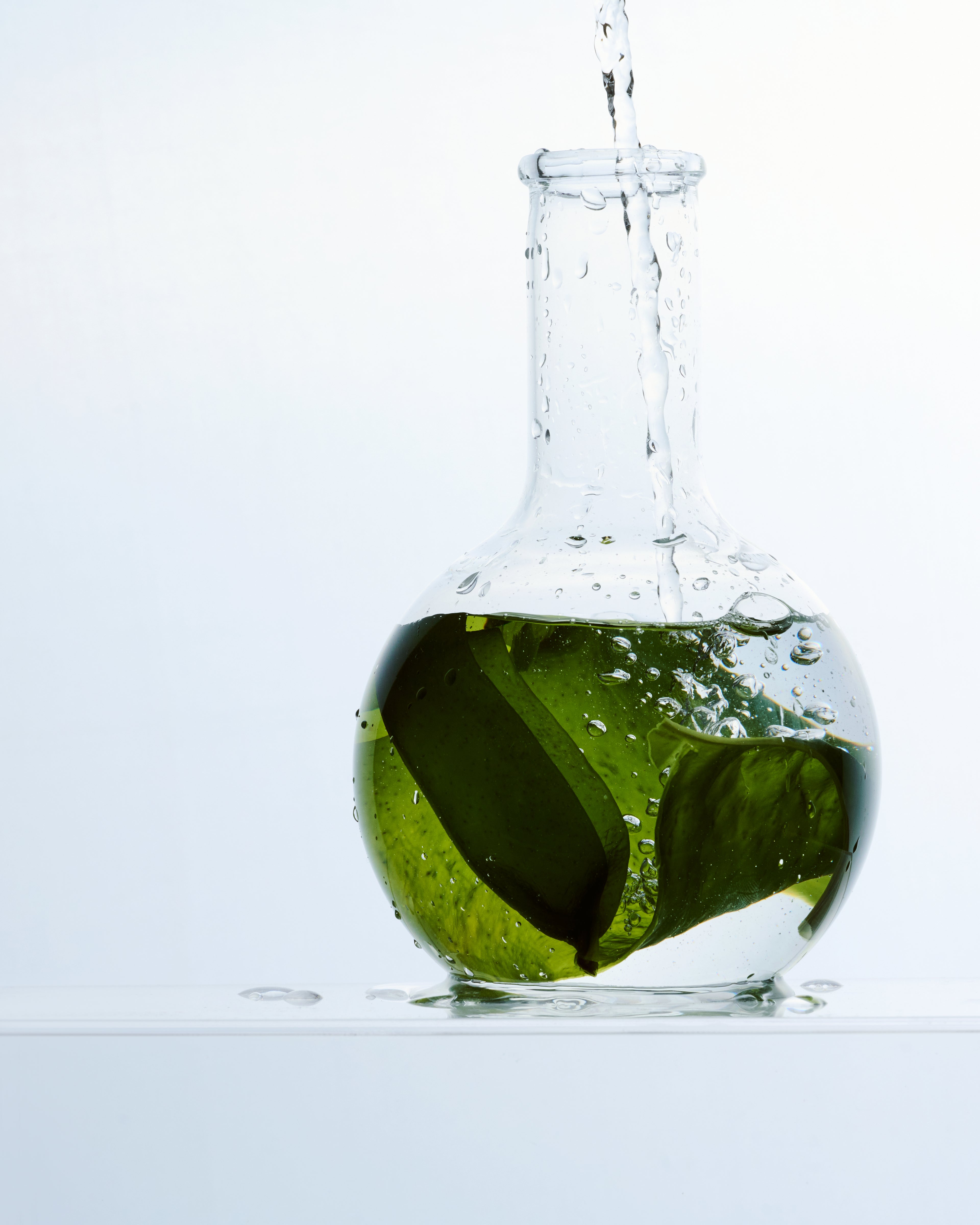 Algae ingredients in glass