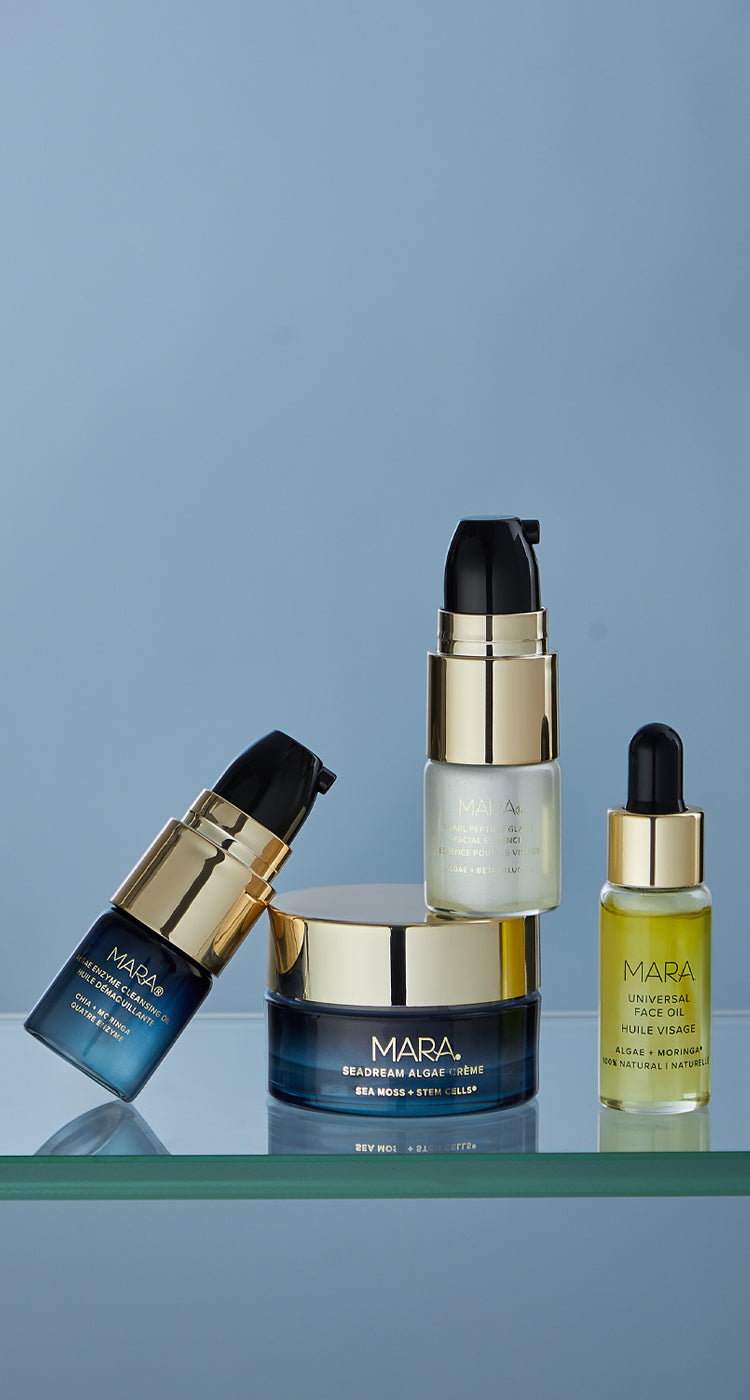 MARA Intro Deluxe Kit on shelf