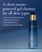 Aura Cleanse Foaming Gel Cleanser with a blue background and clean beauty facts 