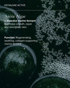 close up of algae that is active in Aura Cleanse Foaming Gel Cleanser 