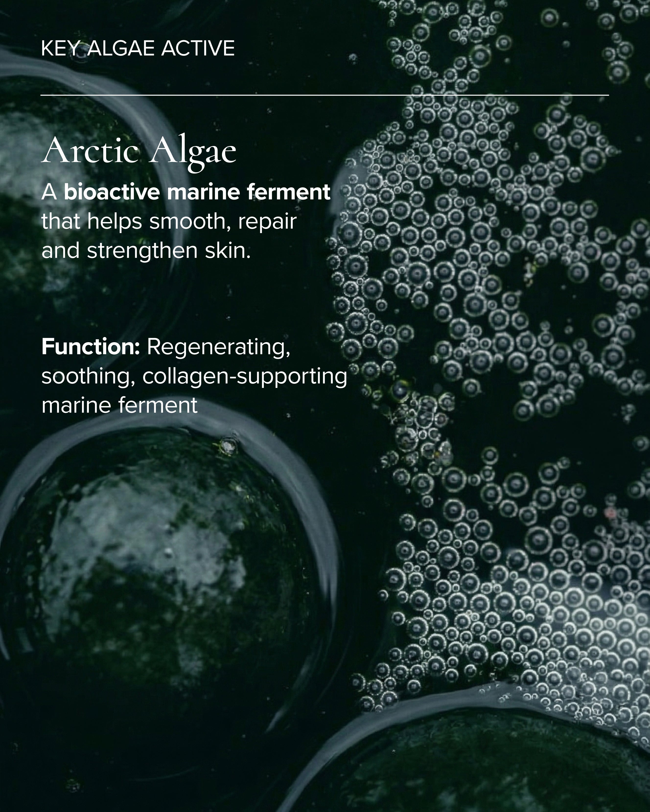 close up of algae that is active in Aura Cleanse Foaming Gel Cleanser 