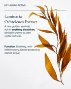 Algae active in algae retinol oil 