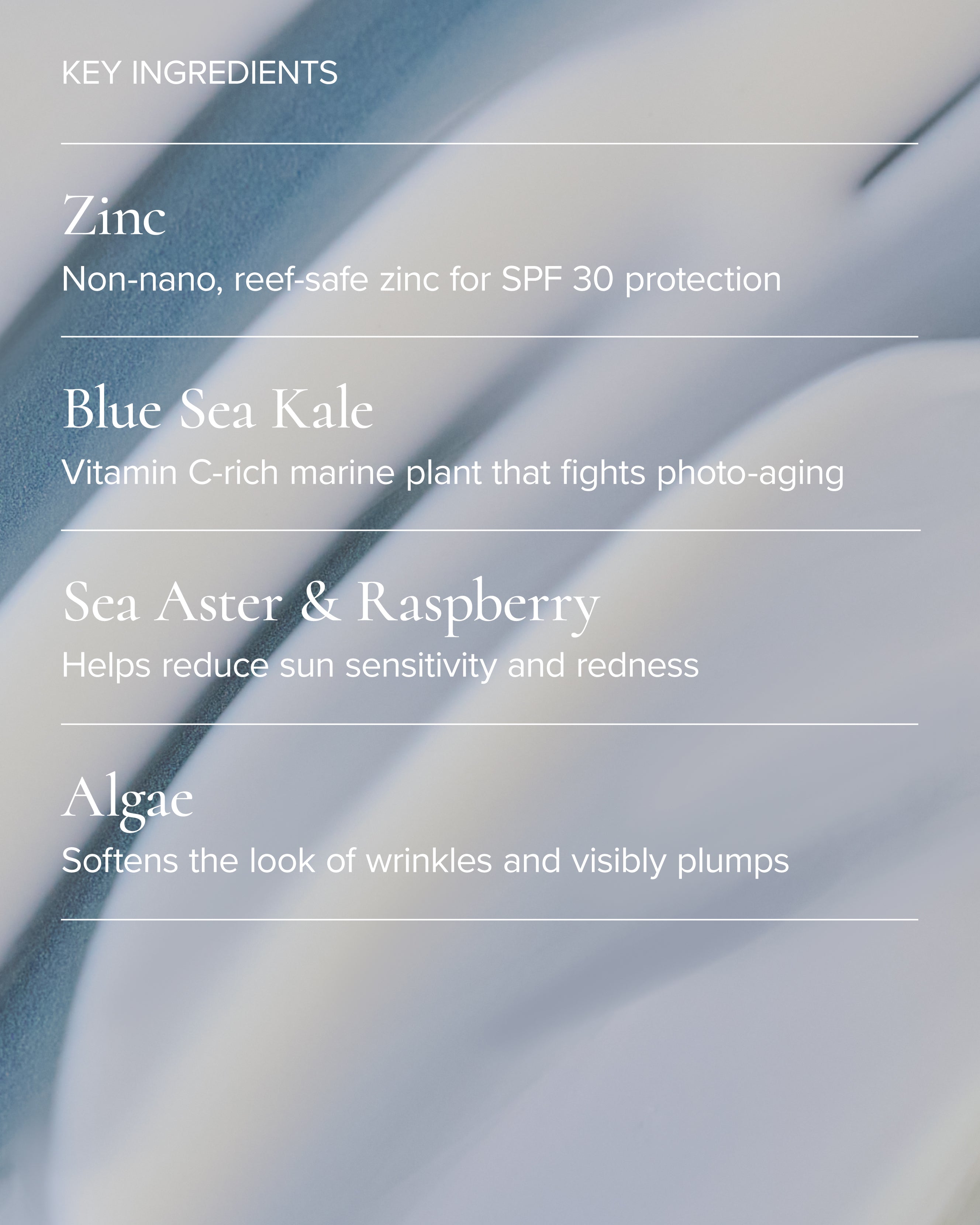 Key ingredients in MARA Sea Kale Sunscreen 