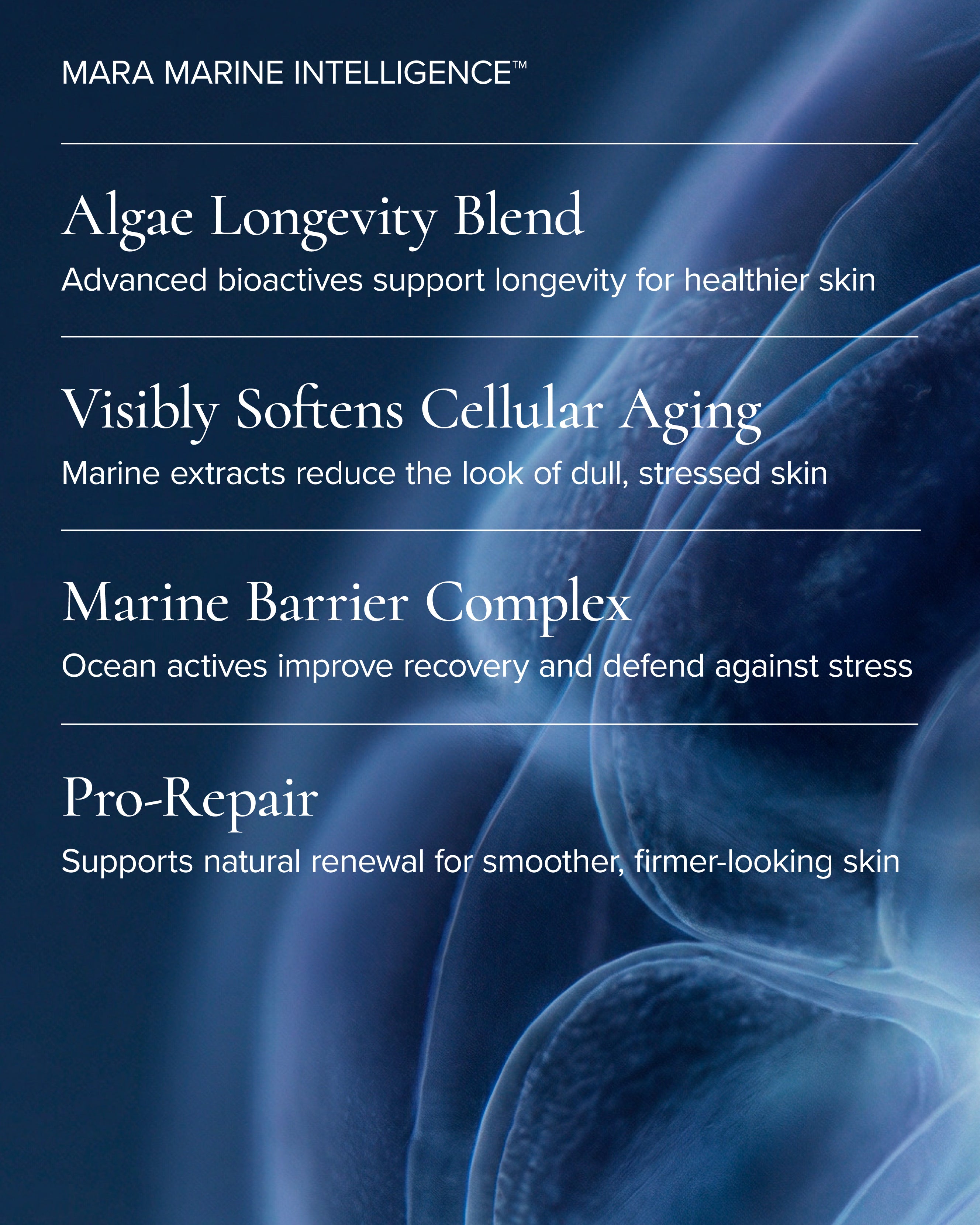 Marine intelligence of MARA Sea Kale Sunscreen 