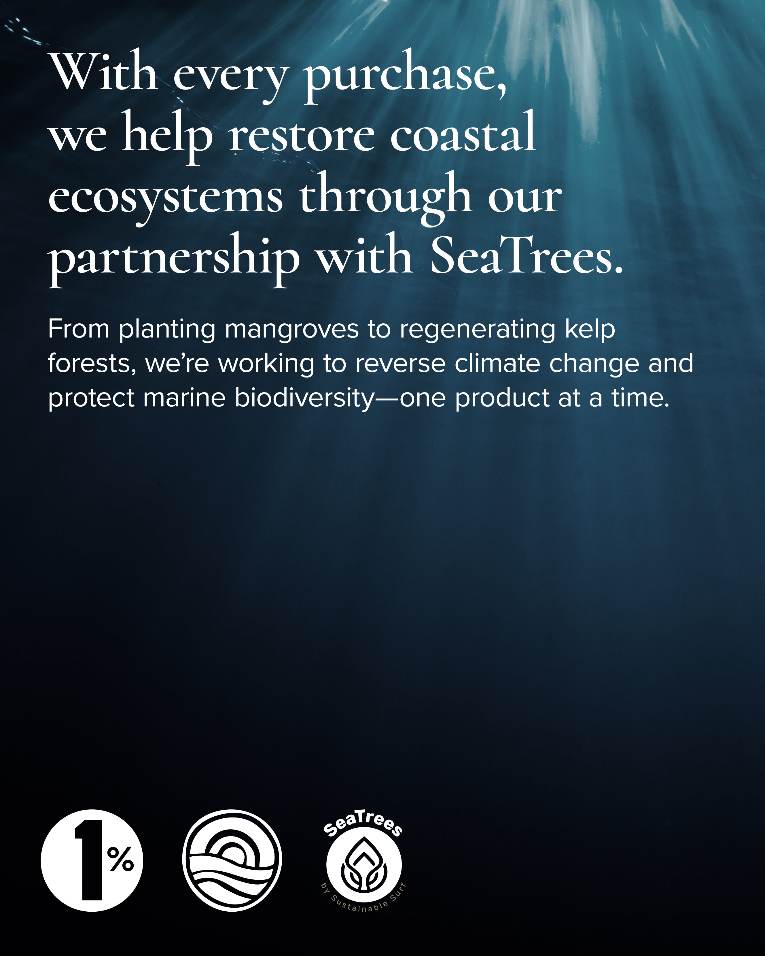 MARA Sea Kale Sunscreen and SeaTrees partner 