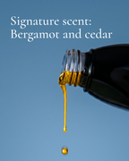 ssbo signature scent