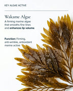 Key algae active in MARA Sea Silk Lip Balm Toasty Rouge  