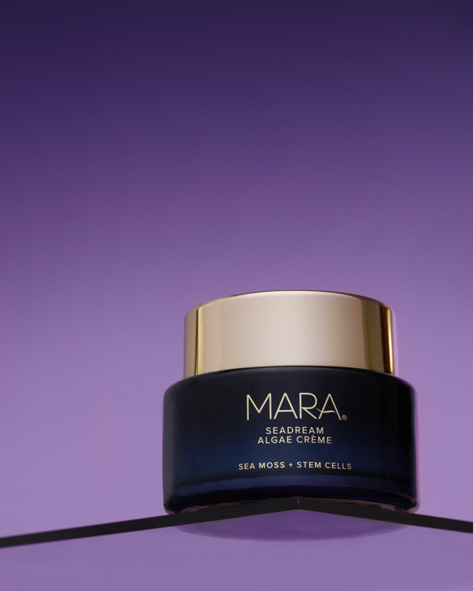 Seadream Algae Creme on shelf on a purple background