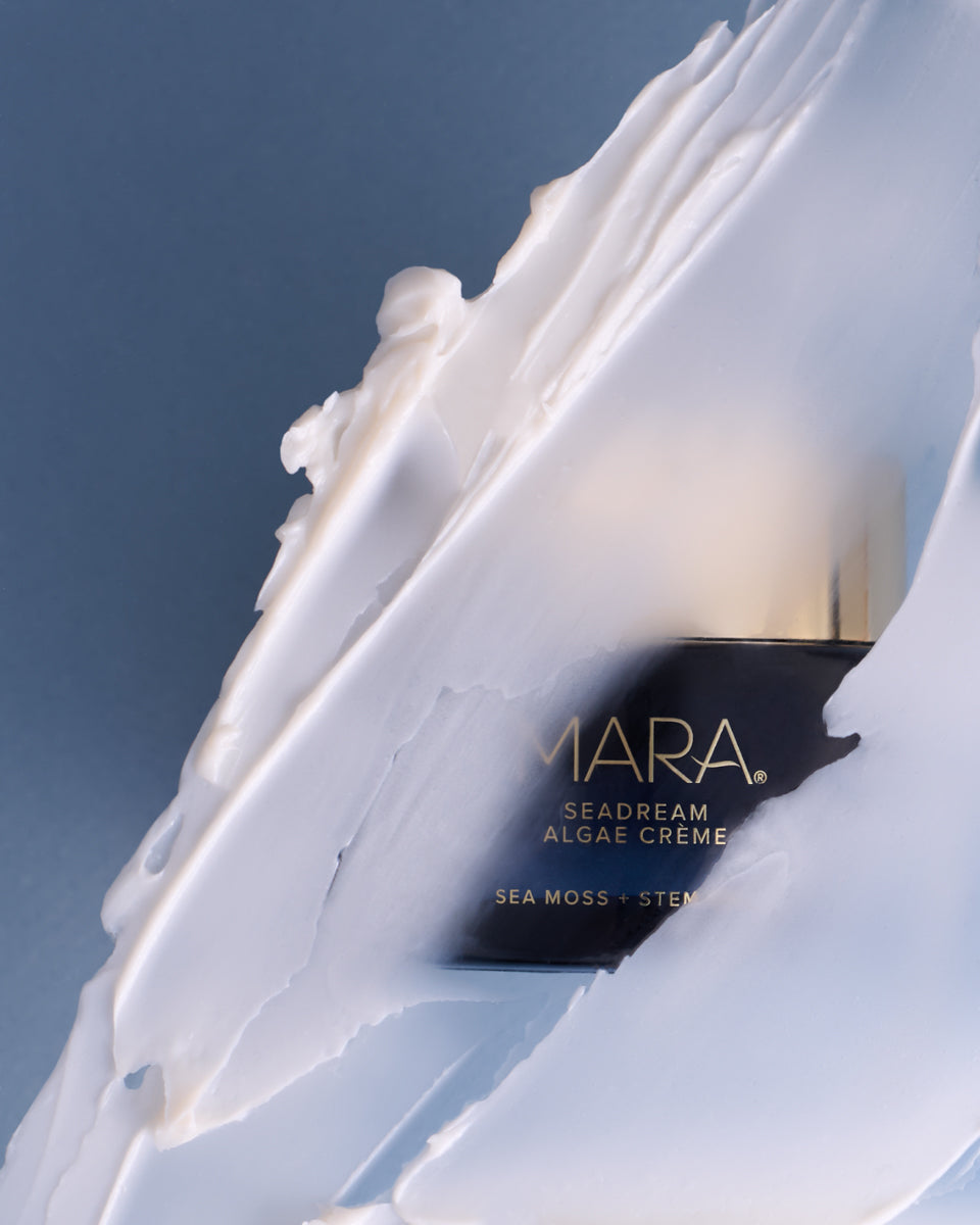 SeaDream Algae Creme behind swatch