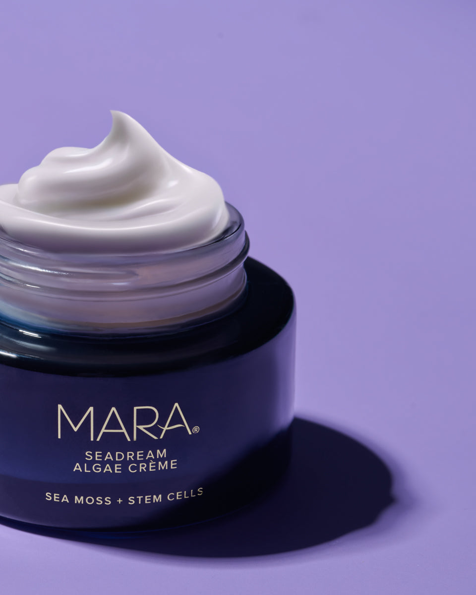 open jar of SeaDream Algae Creme