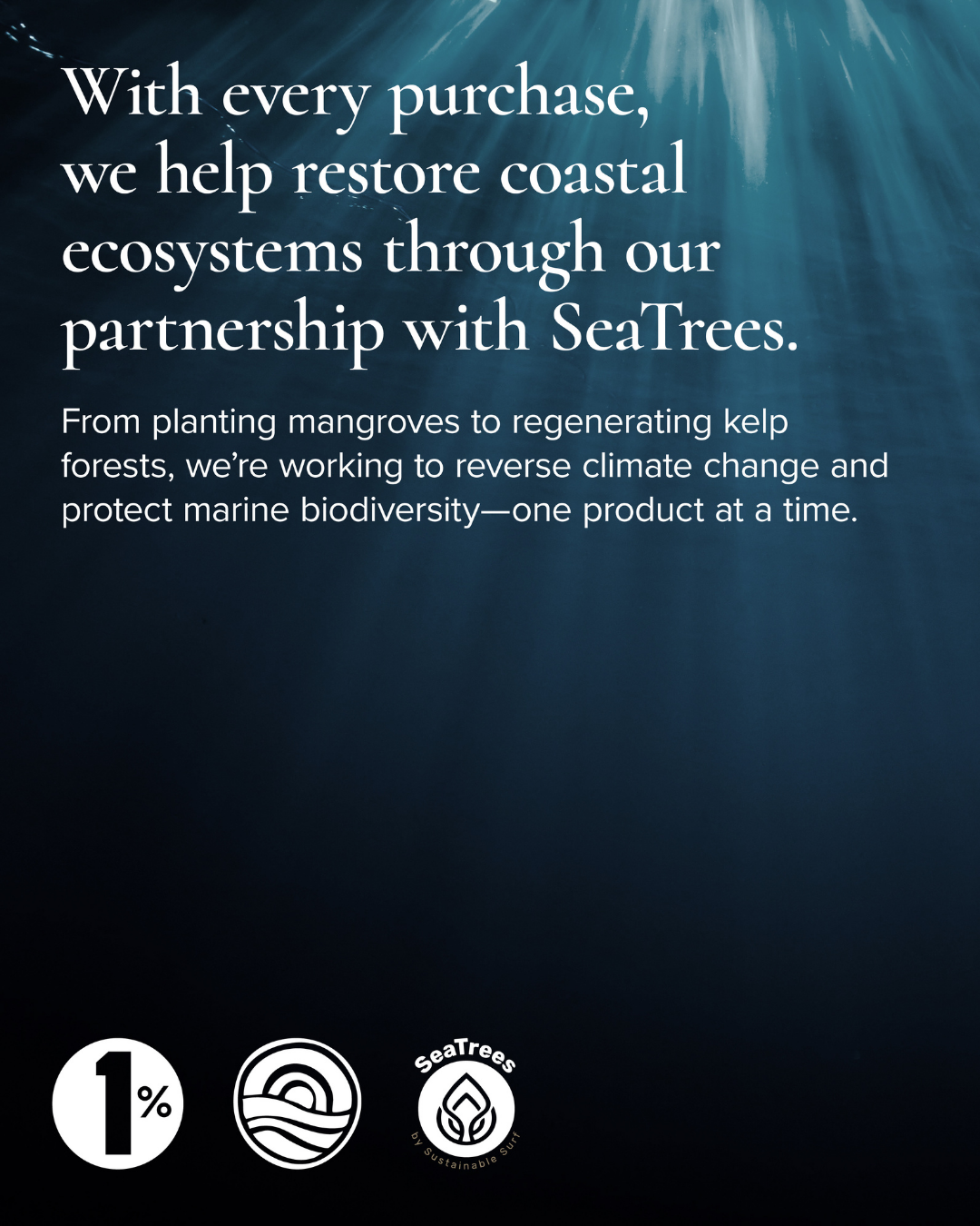 Sea Trees MARA Sustainability