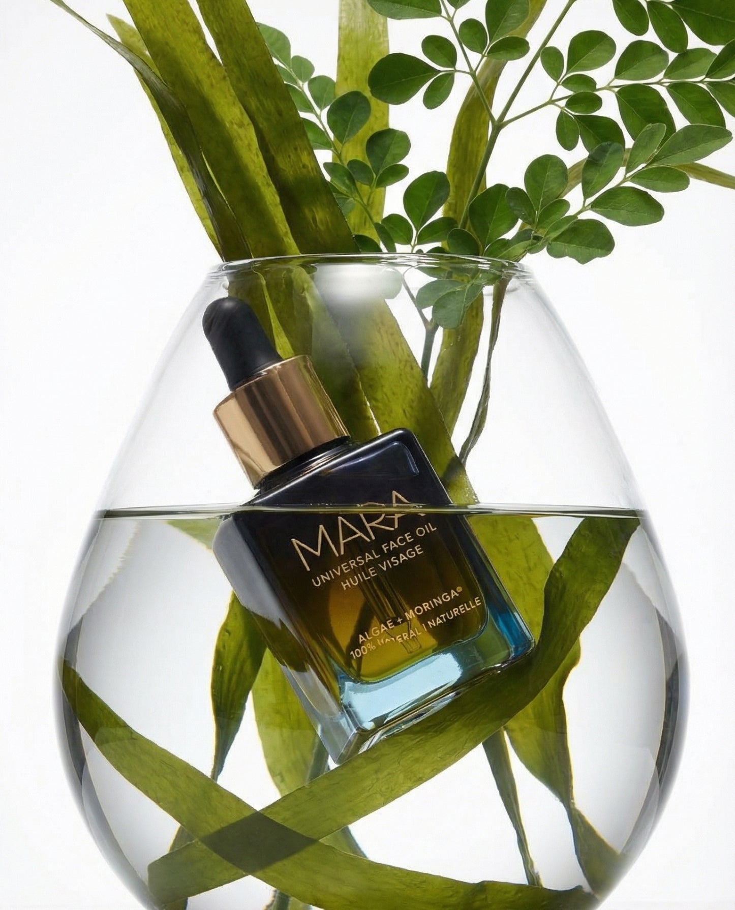 Universal Face Oil and morninga in glass vase with water