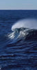 video montage of algae and ocean and MARA products