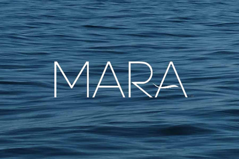 MARA Sea the Glow Gift Card | Mara Beauty